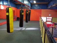 /album/fenykepgaleria/zsakok12-jpg/